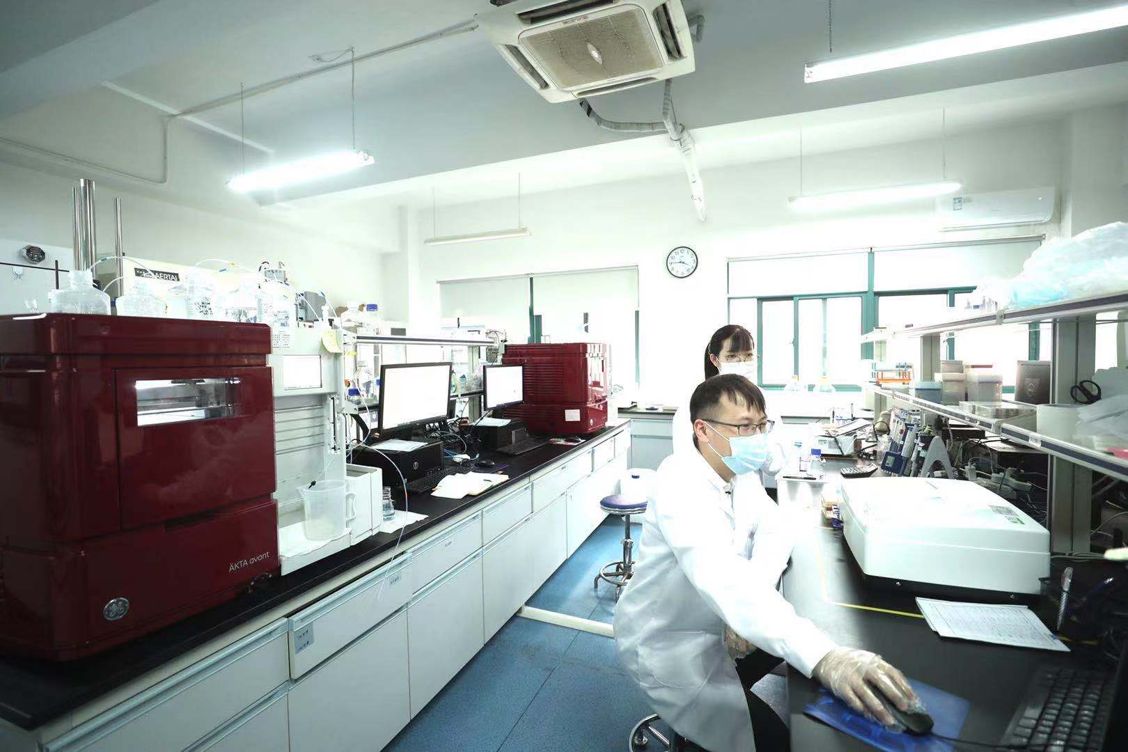 ADC藥物評(píng)價(jià)體系